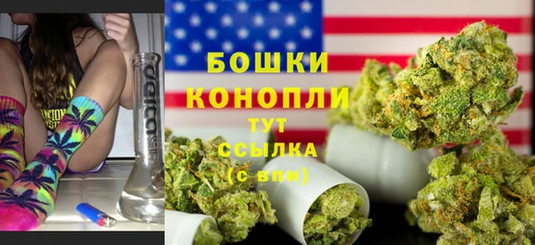 сатива Баксан