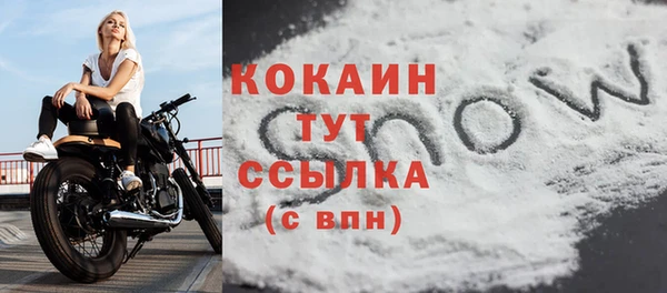 сатива Баксан