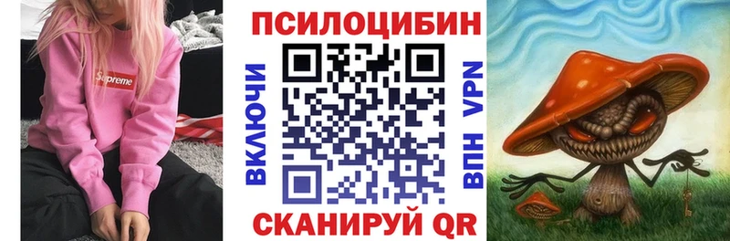 Псилоцибиновые грибы мицелий Судак